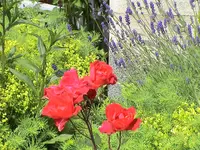 DSC03803.webp