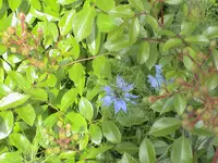 DSC03805.webp