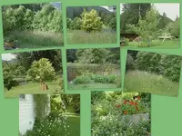 Wildgarten.webp