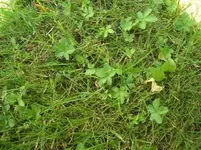 CIMG6884.webp