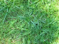 IMG_1646.webp
