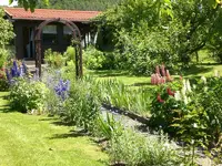 Garten Juni4 033.webp