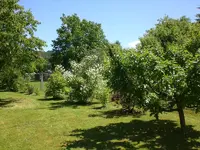 Garten Juni4 043.webp