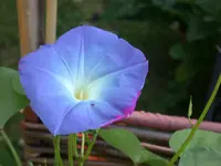 DSCN6805.webp