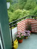 DSC00004.webp