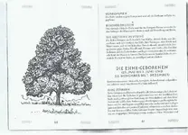 Esche.webp