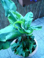 DSC00364.webp