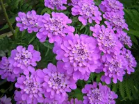 DSCN0897.webp