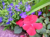 DSCN0899.webp