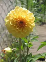 garten 09 012.webp