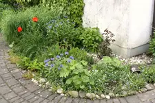 IMG_1956.webp