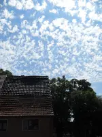 Bild 1 339.webp
