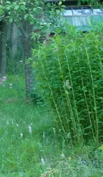 Bild1.webp