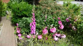 K800_P1020467.webp