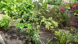K800_P1020468.webp