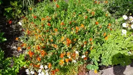 K800_P1020477.webp