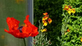 K800_P1020479.webp
