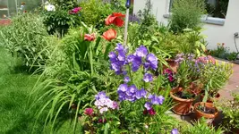 K800_P1020496.webp