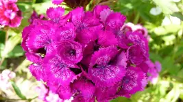 K800_P1020500.webp