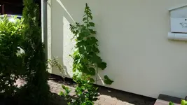 K800_P1020491.webp