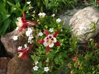 P1060653_600_450.webp