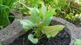 K800_P1020480.webp