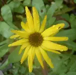Winter 2009 312.webp