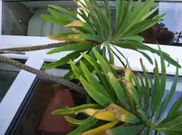 CIMG1721.webp