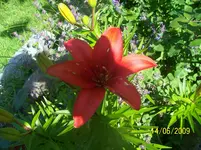 100_1823.webp
