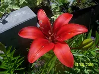 100_1824.webp