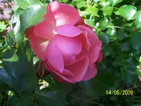 100_1827.webp 100_1827.webp