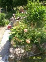 100_1828.webp