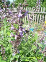 100_1832.webp 100_1832.webp