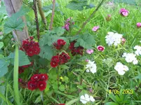 100_1834.webp 100_1834.webp