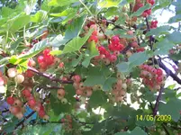 100_1839.webp 100_1839.webp
