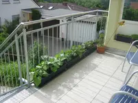 20080528_5629.webp