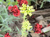 DSC03835.webp