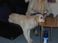 6 Besuch aus GS.webp