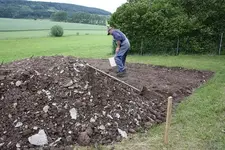 Kartoffelacker.webp