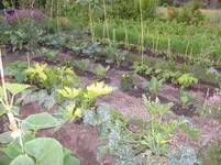 14.Juni 2009 (27).webp