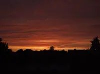 DSCF1526.webp
