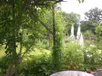 Garten Juni5 003.webp