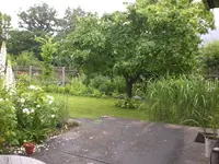Garten Juni5 004.webp