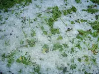 Winter 2009 406.webp
