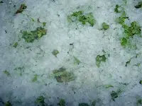 Winter 2009 407.webp