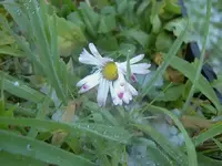 Winter 2009 414.webp