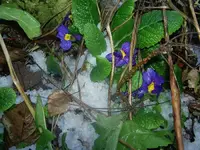 Winter 2009 418.webp