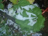 Winter 2009 427.webp