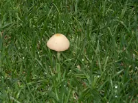 100_1743.webp