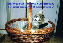 Bild 2 - klein.webp